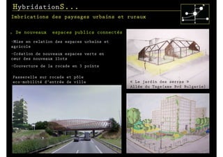 HybridationS...
Imbrications des paysages urbains et ruraux

.   De nouveaux   espaces publics connectés
-Mise en relation des espaces urbains et
agricole
-Création de nouveaux espaces verts en
cœur des nouveaux ilots
-Couverture de la rocade en 3 points

Passerelle sur rocade et pôle
eco-mobilité d’entrée de ville                « Le jardin des serres »
                                              Allée du Tage(axe Bvd Bulgarie)
    Jardin « bleu »
    Place de Serbie
 