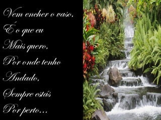 Vem encher o vaso,
É o que eu
Mais quero,
Por onde tenho
Andado,
Sempre estás
Por perto...
 