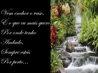 Vem encher o vaso,
É o que eu mais quero,
Por onde tenho
Andado,
Sempre estás
Por perto...
 