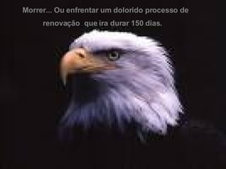 Morrer... Ou enfrentar um dolorido processo de  renovação  que ira durar 150 dias. 