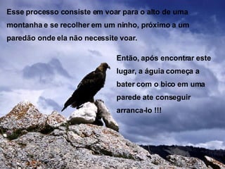 Esse processo consiste em voar para o alto de uma montanha e se recolher em um ninho, próximo a um paredão onde ela não necessite voar.  Então, após encontrar este lugar, a águia começa a  bater com o bico em uma parede ate conseguir arranca-lo !!! 