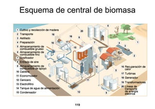 Esquema de central de biomasa




             119
 