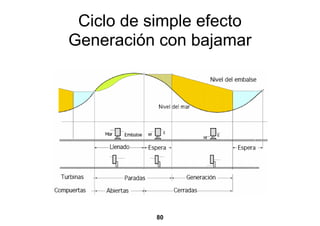 Ciclo de simple efecto
Generación con bajamar




           80
 