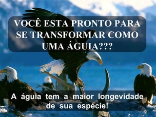 A  águia  tem  a  maior  longevidade de  sua  espécie! VOCÊ ESTA PRONTO PARA SE TRANSFORMAR COMO UMA ÁGUIA??? 