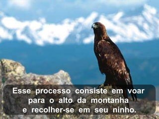 Esse  processo  consiste  em  voar  para  o  alto  da  montanha  e  recolher-se  em  seu  ninho. 