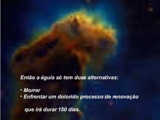Então a águia só tem duas alternativas: Morrer  Enfrentar um dolorido processo de renovação  que irá durar 150 dias. 