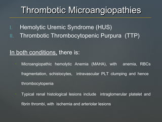 Thrombotic MicroangiopathiesThrombotic Microangiopathies
I. Hemolytic Uremic Syndrome (HUS)
II. Thrombotic Thrombocytopenic Purpura (TTP)
In both conditions, there is:
• Microangiopathic hemolytic Anemia (MAHA), with anemia, RBCs
fragmentation, schistocytes, intravascular PLT clumping and hence
thrombocytopenia
• Typical renal histological lesions include intraglomerular platelet and
fibrin thrombi, with ischemia and arteriolar lesions
 