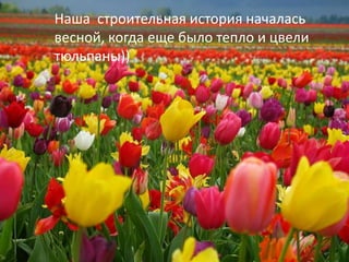 Наша строительная история началась
весной, когда еще было тепло и цвели
тюльпаны))
 