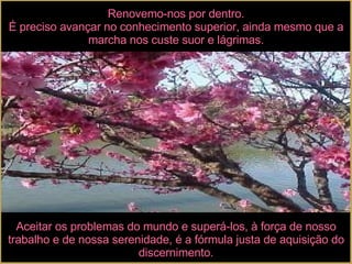 Renovemo-nos por dentro. É preciso avançar no conhecimento superior, ainda mesmo que a marcha nos custe suor e lágrimas. Aceitar os problemas do mundo e superá-los, à força de nosso trabalho e de nossa serenidade, é a fórmula justa de aquisição do discernimento. 