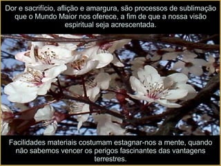 Dor e sacrifício, aflição e amargura, são processos de sublimação que o Mundo Maior nos oferece, a fim de que a nossa visão espiritual seja acrescentada. Facilidades materiais costumam estagnar-nos a mente, quando não sabemos vencer os perigos fascinantes das vantagens terrestres. 