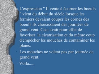 L'expression " Il vente à écorner les boeufs " vient du début du siècle lorsque les fermiers devaient couper les cornes des boeufs ils choisissaient des journées de grand vent. Ceci avait pour effet de favoriser  la cicatrisation et du même coup d'empêcher les mouches de contaminer les plaies.  Les mouches ne volent pas par journée de grand vent. Voilà..... 