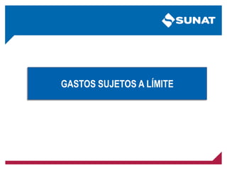 GASTOS SUJETOS A LÍMITE
 