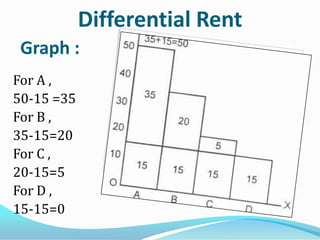 Daily Rent Shape Rent | PPTX