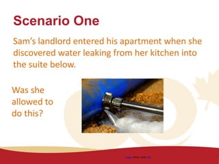 Scenario One
Sam’s landlord entered his apartment when she
discovered water leaking from her kitchen into
the suite below.
Image shared under CC0
Was she
allowed to
do this?
 