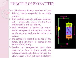 PRINCIPLE OF BIO BATTERY
 A Bio-Battery battery consists of two
different metals suspended in an acidic
solution.
 They contain an anode, cathode, separator
and electrolyte, which are the basic
components to any cell battery.
 Each component is layered on top of
another component. Anodes and cathodes
are the negative and positive areas on a
battery.
 The cathode is located at the top of the
battery and the anode is located at the
bottom of the battery.
 Anodes are components that allow
electrons to flow in from outside the
battery, whereas cathodes are devices that
allow current to flow out from the battery.
 