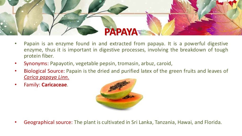 Pharmacognosy Enzymes (papaya, diastase, yeast)
