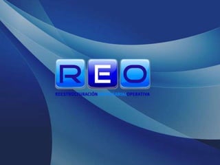 R.E.O. (Reestructuración Empresarial Operativa)