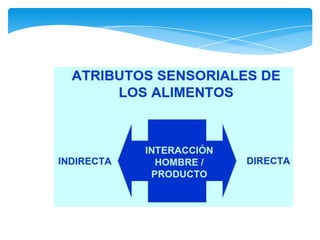 Reología principios básicos