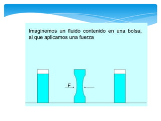 Reología principios básicos