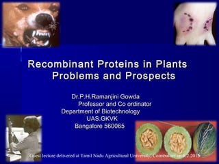 Recombinant Proteins in Plants
    Problems and Prospects

                  Dr.P.H.Ramanjini Gowda
                    Professor and Co ordinator
               Department of Biotechnology
                       UAS.GKVK
                   Bangalore 560065



Guest lecture delivered at Tamil Nadu Agricultural University, Coimbatore on 6.2.2013
 