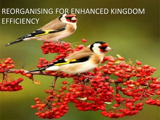 REORGANISING FOR ENHANCED KINGDOM
EFFICIENCY

 