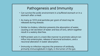 • Can survive the acidic environment in a buffered stomach or in a
stomach after a meal.
• As many as 1010 viral particles per gram of stool may be
released during disease.
• Similar to cholera, infection prevents the absorption of water,
causing a net secretion of water and loss of ions, which together
result in a watery diarrhea.
• NSP4 protein acts in a toxin-like manner to promote calcium ion
influx into enterocytes, release of neuronal activators, and a
neuronal alteration in water absorption.
• Immunity to infection requires the presence of antibody,
primarily immunoglobulin A (IgA), in the lumen of the gut.
Pathogenesis and Immunity
 