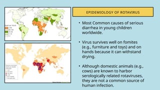 EPIDEMIOLOGY OF ROTAVIRUS
• Most Common causes of serious
diarrhea in young children
worldwide.
• Virus survives well on fomites
(e.g., furniture and toys) and on
hands because it can withstand
drying.
• Although domestic animals (e.g.,
cows) are known to harbor
serologically related rotaviruses,
they are not a common source of
human infection.
 