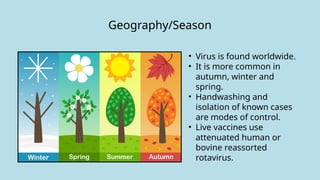 • Virus is found worldwide.
• It is more common in
autumn, winter and
spring.
• Handwashing and
isolation of known cases
are modes of control.
• Live vaccines use
attenuated human or
bovine reassorted
rotavirus.
Geography/Season
 