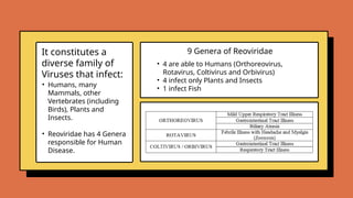 • Humans, many
Mammals, other
Vertebrates (including
Birds), Plants and
Insects.
• Reoviridae has 4 Genera
responsible for Human
Disease.
• 4 are able to Humans (Orthoreovirus,
Rotavirus, Coltivirus and Orbivirus)
• 4 infect only Plants and Insects
• 1 infect Fish
9 Genera of Reoviridae
It constitutes a
diverse family of
Viruses that infect:
 