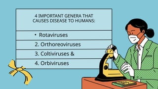 • Rotaviruses
4 IMPORTANT GENERA THAT
CAUSES DISEASE TO HUMANS:
2. Orthoreoviruses
3. Coltiviruses &
4. Orbiviruses
 