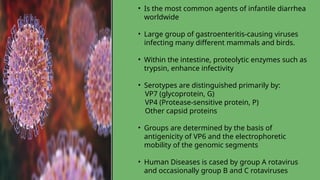 • Is the most common agents of infantile diarrhea
worldwide
• Large group of gastroenteritis-causing viruses
infecting many different mammals and birds.
• Within the intestine, proteolytic enzymes such as
trypsin, enhance infectivity
• Serotypes are distinguished primarily by:
VP7 (glycoprotein, G)
VP4 (Protease-sensitive protein, P)
Other capsid proteins
• Groups are determined by the basis of
antigenicity of VP6 and the electrophoretic
mobility of the genomic segments
• Human Diseases is cased by group A rotavirus
and occasionally group B and C rotaviruses
 