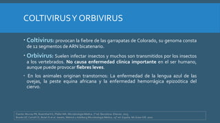 Reovirus | PPTX