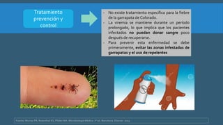 Reovirus | PPTX