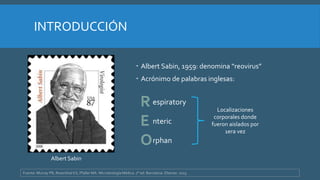 INTRODUCCIÓN
 Albert Sabin, 1959: denomina “reovirus”
 Acrónimo de palabras inglesas:
Albert Sabin
espiratory
nteric
rphan
Localizaciones
corporales donde
fueron aislados por
1era vez
Fuente: Murray PR, Rosenthal KS, Pfaller MA. Microbiología Médica. 7° ed. Barcelona. Elsevier. 2013.
 