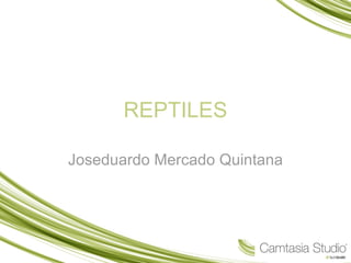 REPTILES Joseduardo Mercado Quintana 