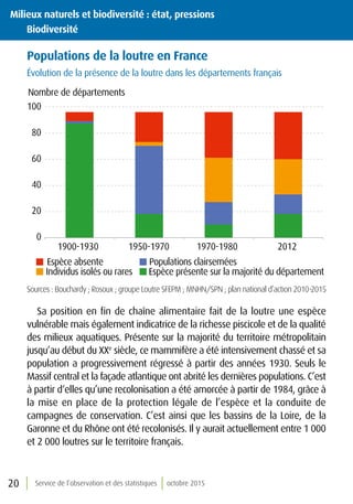 Service de l’observation et des statistiques octobre 201520
Populations de la loutre en France
Évolution de la présence de la loutre dans les départements français
0
20
40
60
80
100
1900-1930 1950-1970 1970-1980 2012
Espèce absente
Individus isolés ou rares
Populations clairsemées
Espèce présente sur la majorité du département
Nombre de départements
Sources : Bouchardy ; Rosoux ; groupe Loutre SFEPM ; MNHN/SPN ; plan national d’action 2010-2015
Sa position en fin de chaîne alimentaire fait de la loutre une espèce
vulnérable mais également indicatrice de la richesse piscicole et de la qualité
des milieux aquatiques. Présente sur la majorité du territoire métropolitain
jusqu’au début du XXe
siècle, ce mammifère a été intensivement chassé et sa
population a progressivement régressé à partir des années 1930. Seuls le
Massif central et la façade atlantique ont abrité les dernières populations. C’est
à partir d‘elles qu’une recolonisation a été amorcée à partir de 1984, grâce à
la mise en place de la protection légale de l’espèce et la conduite de
campagnes de conservation. C’est ainsi que les bassins de la Loire, de la
Garonne et du Rhône ont été recolonisés. Il y aurait actuellement entre 1 000
et 2 000 loutres sur le territoire français.
Milieux naturels et biodiversité : état, pressions
	Biodiversité
 