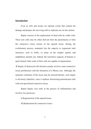 Introduction
Even as cells and tissues are injured, events that contain the
damage and prepare the surviving cells to replicate are set into motion.
Repair consists of the replacement of dead cells by viable cells.
These new cells may be either derived from the parenchyma or from
the connective tissue stroma of the injured tissue. During the
evolutionary process, mammals lost the capacity to regenerate total
structures, such as limbs, as many of the simpler aquatic and
amphibious animals can. Indeed, the restorative capacity of humans is
quite limited. Only some of their cells are capable of regeneration.
 Repair of destroyed cells because usually involves some connective
tissue proliferation with the formation of a fibrous scar. Although, the
anatomic continuity of the tissue may be restored thereby, such impair
is obviously imperfect, since it replaces functioning parenchymal cells
with non-specialized connective tissue.
Repair begins very early in the process of inflammation and
involves two processes:
I] Regeneration of the injured tissue.
II] Replacement by connective tissue.
1
 