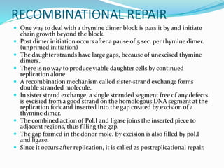 Repair.ppt