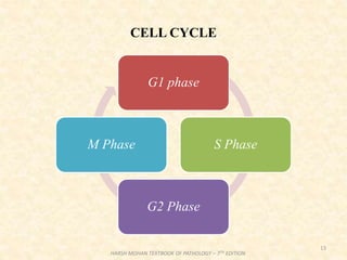 CELL CYCLE
13
HARSH MOHAN TEXTBOOK OF PATHOLOGY – 7TH EDITION
G1 phase
S Phase
G2 Phase
M Phase
 