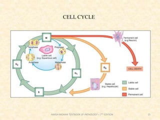 15
HARSH MOHAN TEXTBOOK OF PATHOLOGY – 7TH EDITION
CELL CYCLE
 
