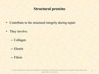 Structural proteins
• Contribute to the structural integrity during repair
• They involve
– Collagen
– Elastin
– Fibrin
17
Schultz and Wysocki, Interactions between extracellular matrix and growth factors in wound healing, Wound Rep
Reg (2009) 17 153–162
 