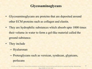 Glycosaminoglycans
• Glycosaminoglycans are proteins that are deposited around
other ECM proteins such as collagen and elastin.
• They are hydrophilic substances which absorb upto 1000 times
their volume in water to form a gel-like material called the
ground substance.
• They include
– Hyaluronan
– Proteoglycans such as versican, syndecan, glypicans,
perlecans
18
Schultz and Wysocki, Interactions between extracellular matrix and growth factors in wound healing, Wound Rep
Reg (2009) 17 153–162
 