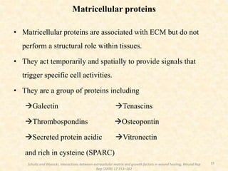 Matricellular proteins
• Matricellular proteins are associated with ECM but do not
perform a structural role within tissues.
• They act temporarily and spatially to provide signals that
trigger specific cell activities.
• They are a group of proteins including
Galectin Tenascins
Thrombospondins Osteopontin
Secreted protein acidic Vitronectin
and rich in cysteine (SPARC)
19
Schultz and Wysocki, Interactions between extracellular matrix and growth factors in wound healing, Wound Rep
Reg (2009) 17 153–162
 