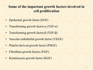 Some of the important growth factors involved in
cell proliferation
• Epidermal growth factor (EGF)
• Transforming growth factor-α (TGF-α)
• Transforming growth factor-β (TGF-β)
• Vascular endothelial growth factor (VEGF)
• Platelet derived growth factor (PDGF)
• Fibroblast growth factors (FGF)
• Keratinocyte growth factor (KGF)
24
 