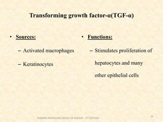 Transforming growth factor-α(TGF-α)
• Sources:
– Activated macrophages
– Keratinocytes
• Functions:
– Stimulates proliferation of
hepatocytes and many
other epithelial cells
26
ROBBINS PATHOLOGIC BASICS OF DISEASE – 9TH EDITION
 