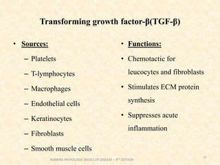Transforming growth factor-β(TGF-β)
• Sources:
– Platelets
– T-lymphocytes
– Macrophages
– Endothelial cells
– Keratinocytes
– Fibroblasts
– Smooth muscle cells
• Functions:
• Chemotactic for
leucocytes and fibroblasts
• Stimulates ECM protein
synthesis
• Suppresses acute
inflammation
27
ROBBINS PATHOLOGIC BASICS OF DISEASE – 9TH EDITION
 