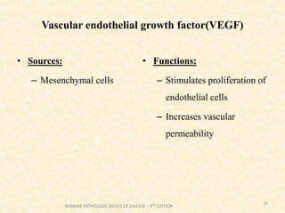 Vascular endothelial growth factor(VEGF)
• Sources:
– Mesenchymal cells
• Functions:
– Stimulates proliferation of
endothelial cells
– Increases vascular
permeability
28
ROBBINS PATHOLOGIC BASICS OF DISEASE – 9TH EDITION
 