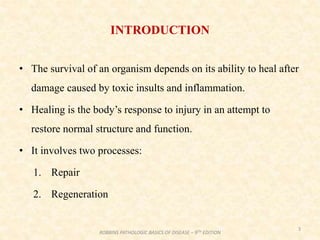 INTRODUCTION
• The survival of an organism depends on its ability to heal after
damage caused by toxic insults and inflammation.
• Healing is the body’s response to injury in an attempt to
restore normal structure and function.
• It involves two processes:
1. Repair
2. Regeneration
3
ROBBINS PATHOLOGIC BASICS OF DISEASE – 9TH EDITION
 