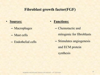 Fibroblast growth factor(FGF)
• Sources:
– Macrophages
– Mast cells
– Endothelial cells
• Functions:
– Chemotactic and
mitogenic for fibroblasts
– Stimulates angiogenesis
and ECM protein
synthesis
30
ROBBINS PATHOLOGIC BASICS OF DISEASE – 9TH EDITION
 