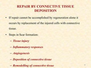 REPAIR BY CONNECTIVE TISSUE
DEPOSITION
• If repair cannot be accomplished by regeneration alone it
occurs by replacement of the injured cells with connective
tissue.
• Steps in Scar formation:
– Tissue injury
– Inflammatory responses
– Angiogenesis
– Deposition of connective tissue
– Remodelling of connective tissue 38
 